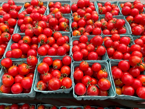 Preview: Organic Cherry Tomatoes at the Market
