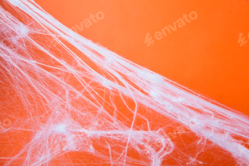 Preview: Halloween creepy cobweb spiders web with an orange background