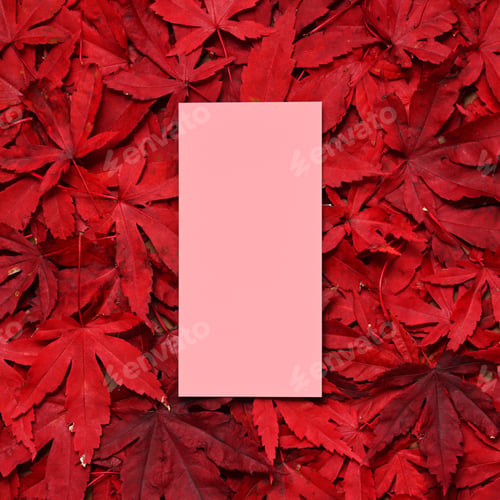 Preview: Autumnal background with red leaves