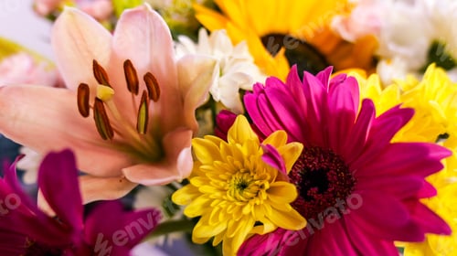 Preview: Vibrant close-up of assorted colorful flowers.