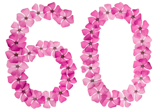Preview: Numeral 60, sixty, from natural pink flowers of periwinkle, isolated on white background