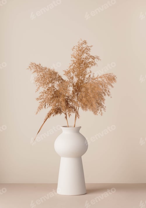 Preview: Pampas grass