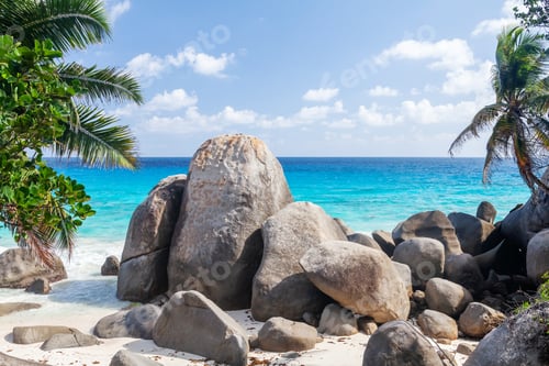 Preview: Tropical beach with palm trees