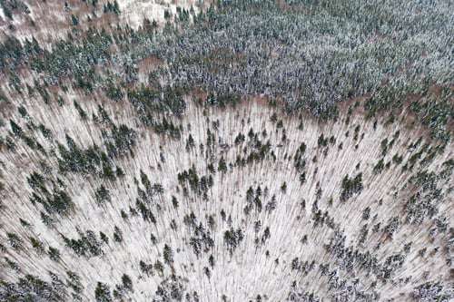 Preview: Aerial drone view of a winter landscape. Snow covered forest.