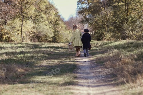 Preview: Little brother and sister are walking in the autumn park holding hands