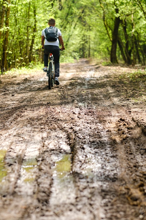 Preview: A group of cyclists with backpacks ride bicycles on a forest road enjoying nature