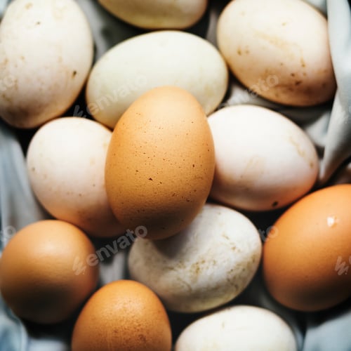 Preview: Closeup of fresh organic various eggs