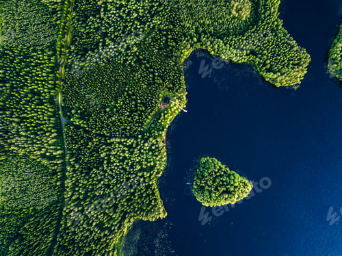 Preview: Aerial view of green forests with blue lake and summer cottage with wooden pier