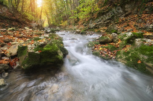 Preview: Autumn landscape. River into canyon.