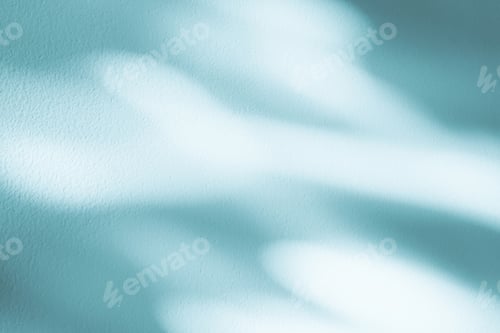 Preview: Blue Background,Studio Room with Bright Light,Leaves Shadow on Wall