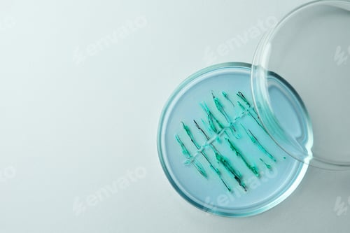 Preview: Petri dish with bacteria colony on white background, top view. Space for text