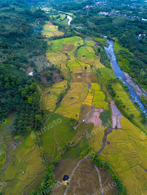 Preview: beautiful morning view from Indonesia