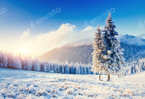 Preview: Fantastic winter landscape in the mountains. Sunset. In anticipa