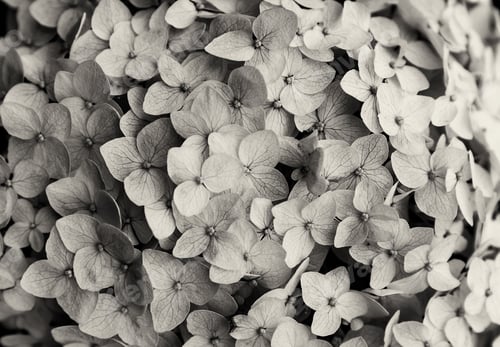 Preview: Light floral and deciduous natural background. Very bright colored background.
