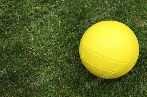 Preview: Yellow volleyball ball on green fresh grass