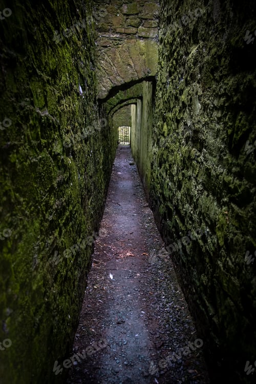 Preview: Charles fort abandoned historic buildings Kinsale Ireland