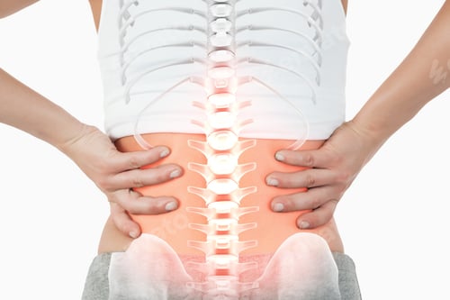 Preview: Digital Composite Of Highlighted Spine Of Woman With Back Pain