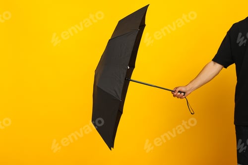 Preview: The main attribute in rainy weather - umbrella