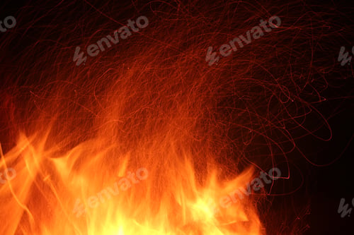 Preview: Bonfire in the woods