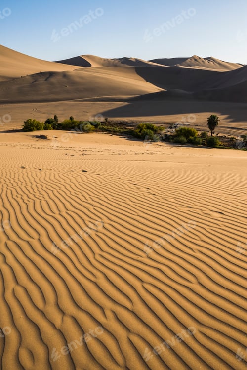Preview: Sand dunes at sunset at Huacachina, a village in the desert, Ica Region, Peru, South America