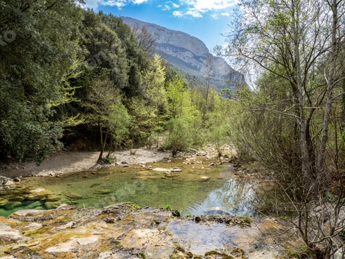 Preview: Sant Aniol Stream in Catalonia, Spain