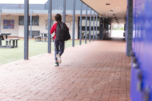 Preview: In school, young biracial male student walking alone outdoors with copy space