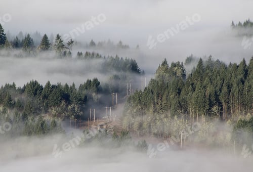 Preview: Fog from above