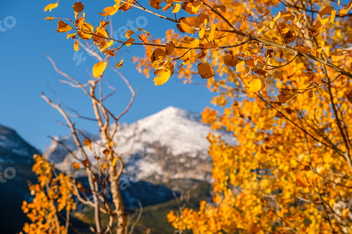 Preview: Autumn in Rocky Mountains, Colorado
