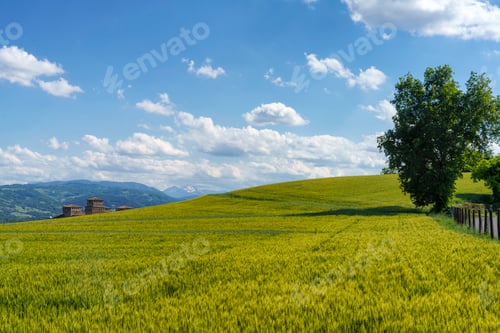 Preview: Medieval castle of Torrechiara, Parma province, Italy