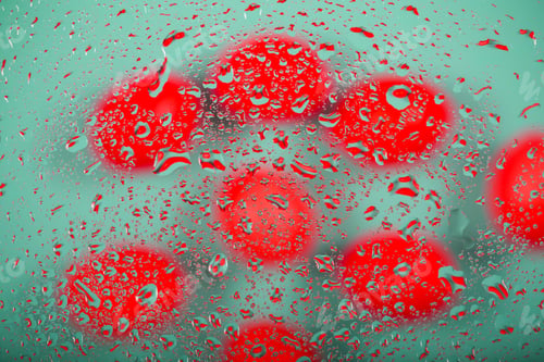 Preview: Lemons Lie Slices Lie On The Table Background Image