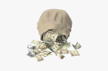 Preview: Overflowing Money Bag with US Currency