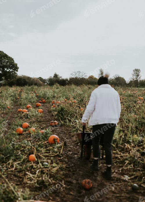 Preview: Woman at a pumpkin patch before Halloween