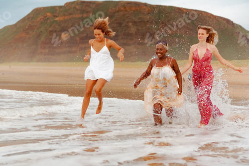 Preview: diverse group of friends on the beach