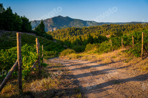 Preview: Green trees and turn the road to the mountains in Greece