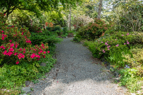 Preview: A Path Is Surrounded By Flowers And Plants In Seatac, Washington.