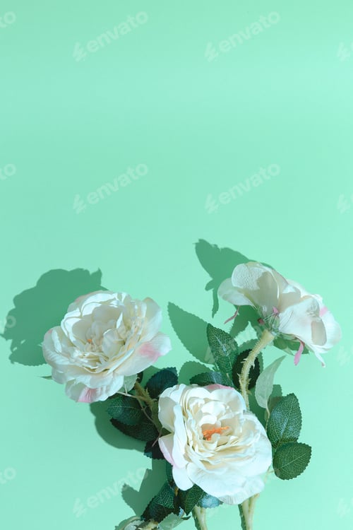 Preview: Minimal aesthetic still life monochrome design. Aqua menthe colours trends. Roses flowers aesthetic
