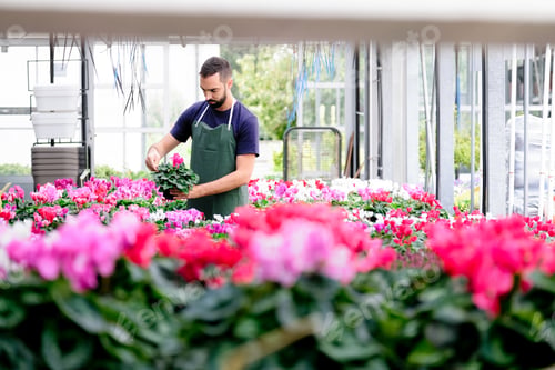 Preview: People Working in Flower Shop