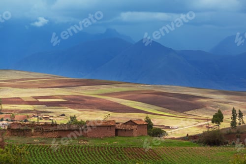 Preview: Fields in Peru