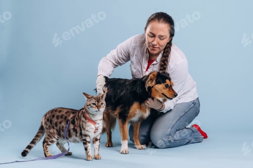 Preview: Female veterinarian is with Bengal cat