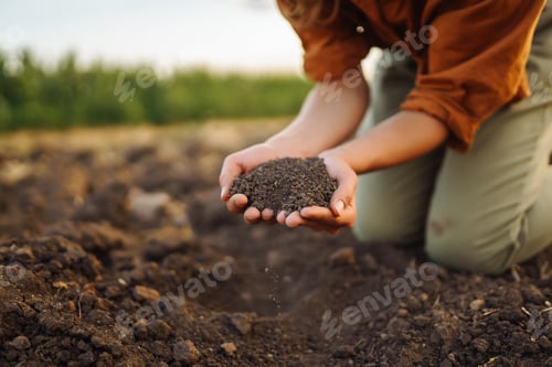 Preview: Female Hand of expert farmer collect soil and checking soil health before growth a seed of vegetable