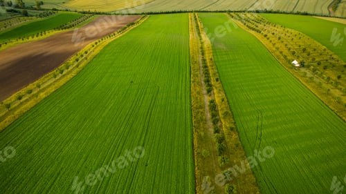 Preview: Rural drone aerial view landscape of farm fields and rolling hills in South Moravia, Czech Republic