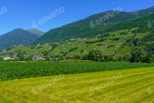 Preview: Landscape along the Sentiero della Valtellina, Italy, from the cycleway
