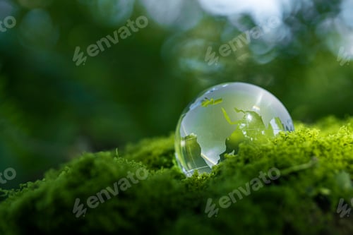 Preview: Crystal ball on moss in green forest - environment esg concept, ecology and sustainable environment
