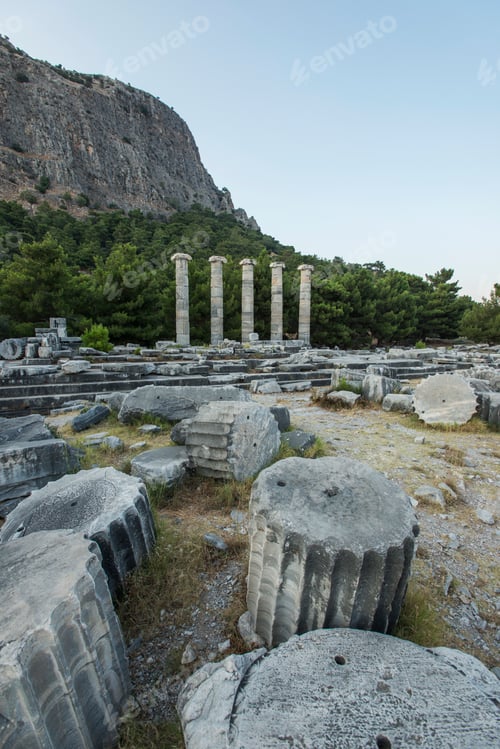 Preview: Columns of Priene