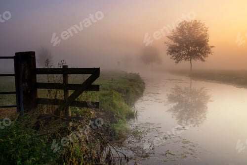Preview: A misty atmosphere near Giessenburg