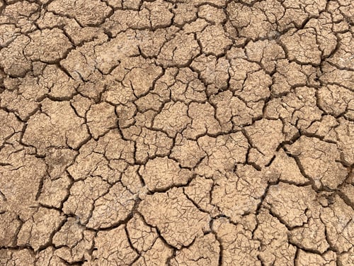 Preview: Cracked Dry Earth: An Arid Landscape