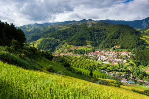 Preview: Rice fields at Northwest Vietnam