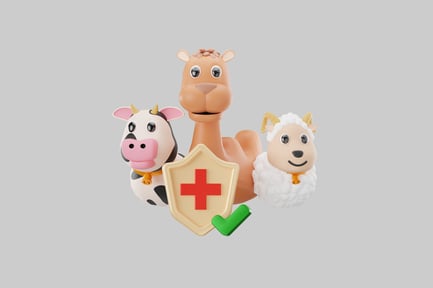 Preview: Eid al-adha animal sacrifice group