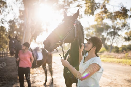 Preview: Female friends stroking horses at barn