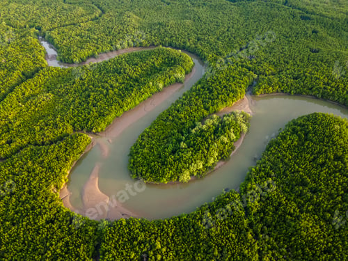 Preview: Aerial top down view of Phang Nga bay, Thailand mangrove forest background texture